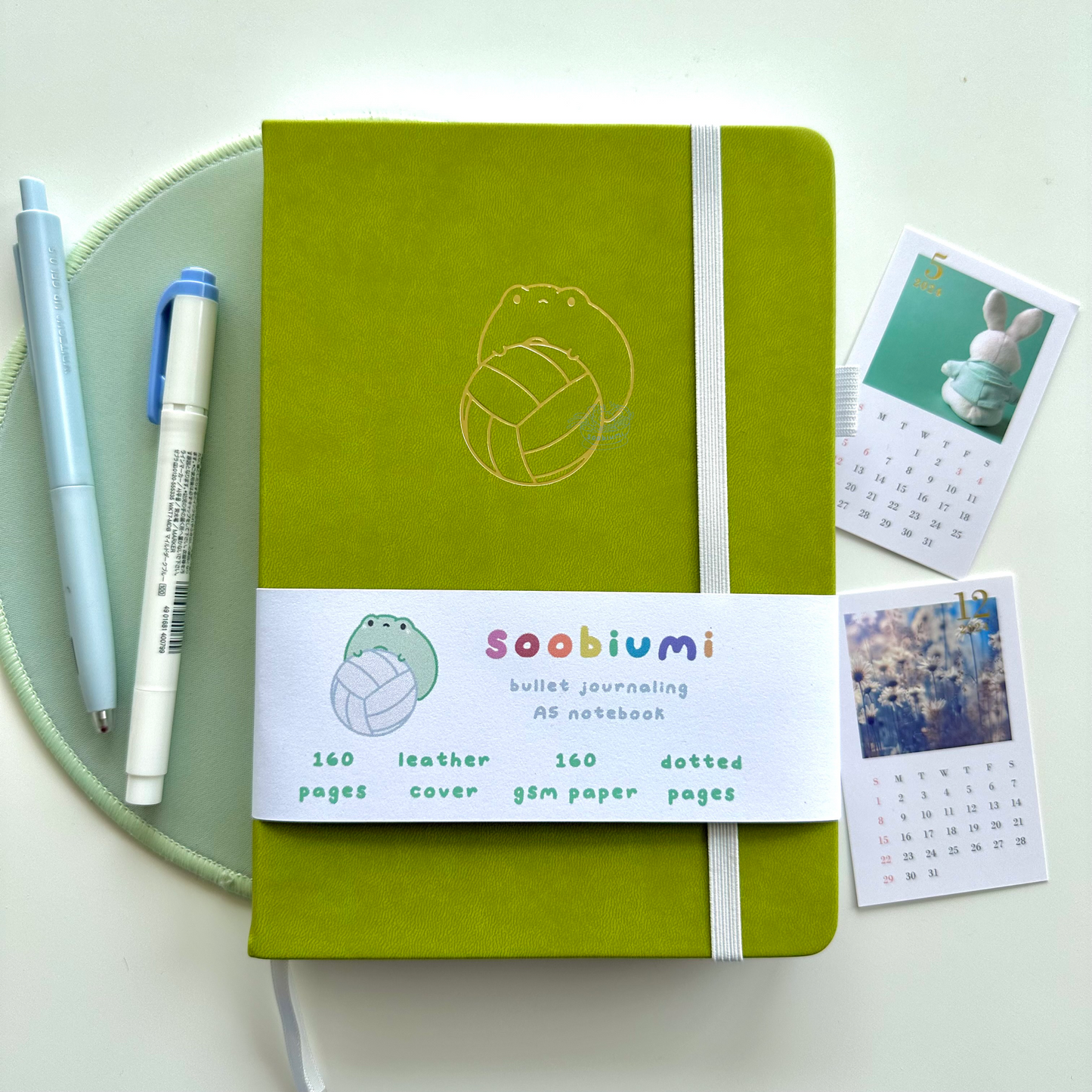 Bobo the Frog with a Volleyball Dotted Journal